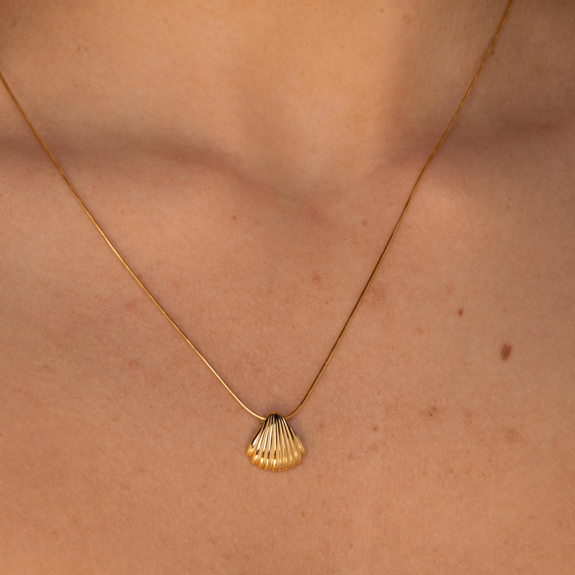 Shell Necklace Gold